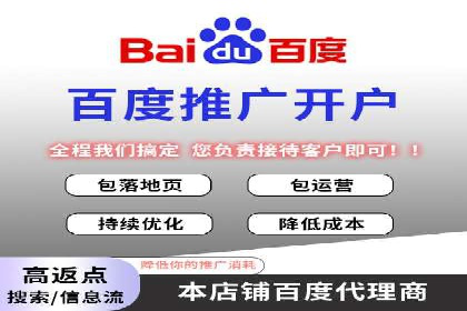 网络推广中的竞价广告：成功案例解析